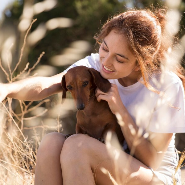 Pets